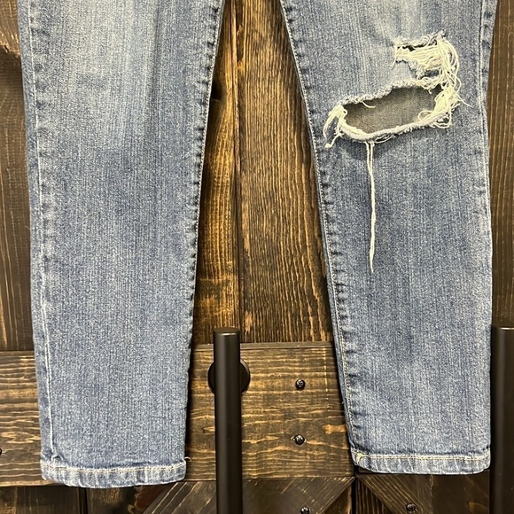 Democracy Jeans 8 Girlfriend Floral Embroidery Bird Distressed Ankle Relaxed Mid - Picture 3 of 13